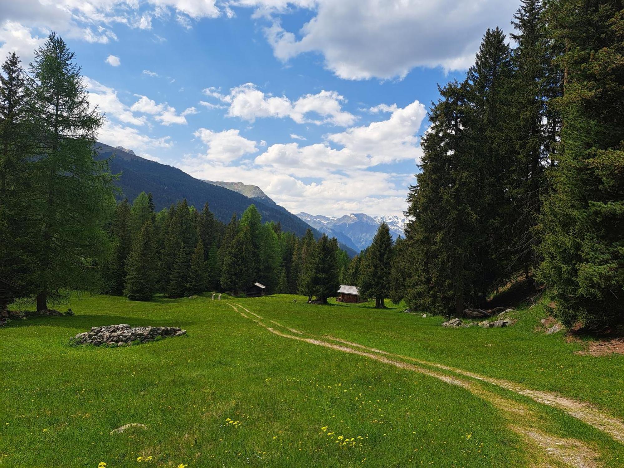 Apart Am Brunnen 奥伯林塔尔的里德 外观 照片